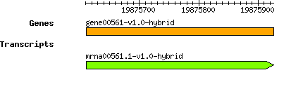 gene00561-v1.0-hybrid.png