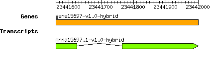 gene15697-v1.0-hybrid.png