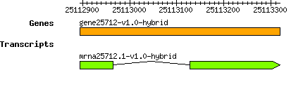gene25712-v1.0-hybrid.png