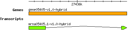 gene05405-v1.0-hybrid.png