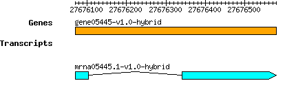gene05445-v1.0-hybrid.png