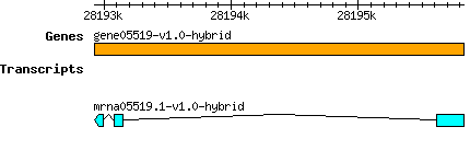 gene05519-v1.0-hybrid.png