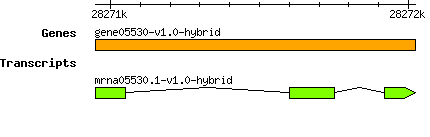 gene05530-v1.0-hybrid.png