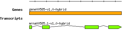 gene00585-v1.0-hybrid.png