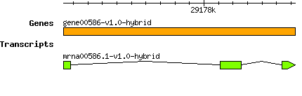 gene00586-v1.0-hybrid.png