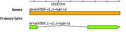 gene00589-v1.0-hybrid.png