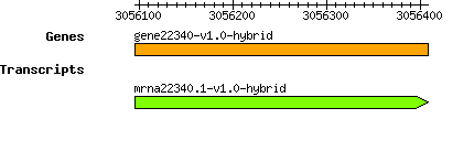 gene22340-v1.0-hybrid.png