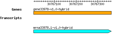 gene33978-v1.0-hybrid.png