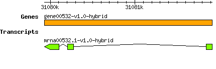 gene00532-v1.0-hybrid.png