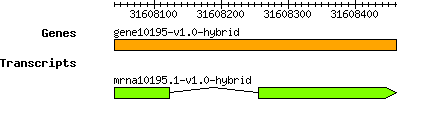gene10195-v1.0-hybrid.png