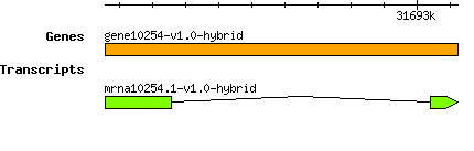 gene10254-v1.0-hybrid.png