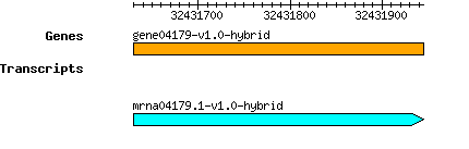 gene04179-v1.0-hybrid.png