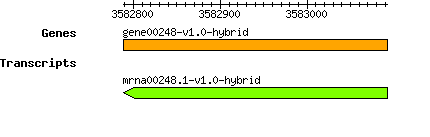 gene00248-v1.0-hybrid.png