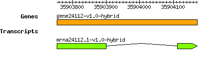 gene24112-v1.0-hybrid.png