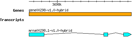gene00298-v1.0-hybrid.png