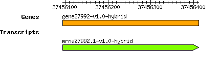 gene27992-v1.0-hybrid.png