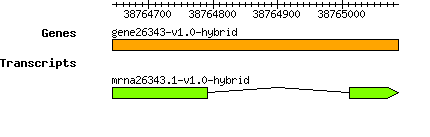 gene26343-v1.0-hybrid.png