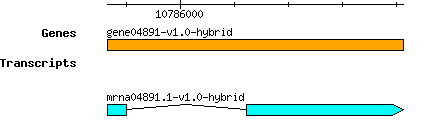 gene04891-v1.0-hybrid.png