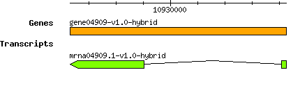 gene04909-v1.0-hybrid.png