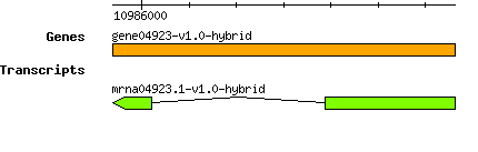gene04923-v1.0-hybrid.png