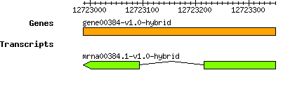gene00384-v1.0-hybrid.png