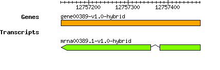 gene00389-v1.0-hybrid.png