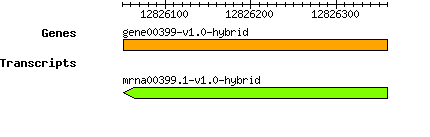 gene00399-v1.0-hybrid.png