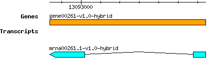 gene00261-v1.0-hybrid.png