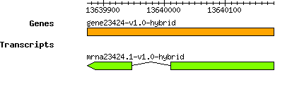 gene23424-v1.0-hybrid.png