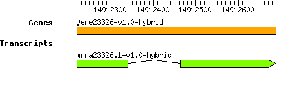 gene23326-v1.0-hybrid.png