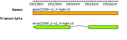 gene23349-v1.0-hybrid.png