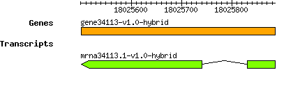 gene34113-v1.0-hybrid.png
