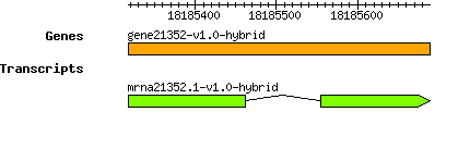 gene21352-v1.0-hybrid.png