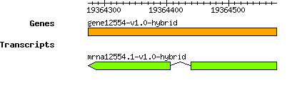 gene12554-v1.0-hybrid.png