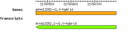 gene13282-v1.0-hybrid.png