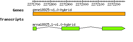 gene18925-v1.0-hybrid.png