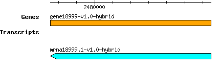 gene18999-v1.0-hybrid.png