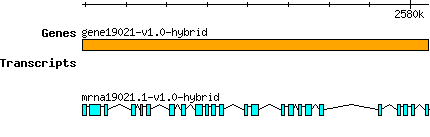 gene19021-v1.0-hybrid.png