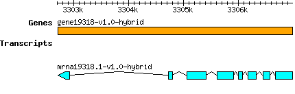 gene19318-v1.0-hybrid.png