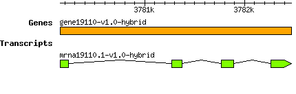 gene19110-v1.0-hybrid.png