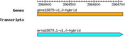 gene18879-v1.0-hybrid.png