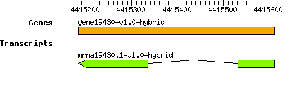 gene19430-v1.0-hybrid.png