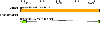 gene14180-v1.0-hybrid.png