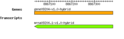 gene09204-v1.0-hybrid.png