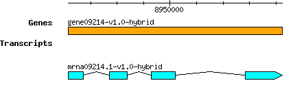 gene09214-v1.0-hybrid.png