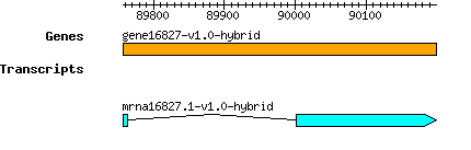 gene16827-v1.0-hybrid.png
