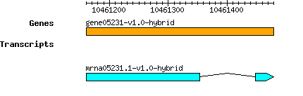 gene05231-v1.0-hybrid.png