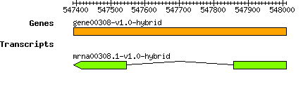 gene00308-v1.0-hybrid.png