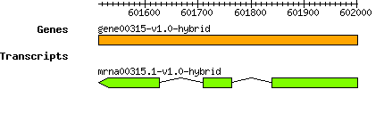 gene00315-v1.0-hybrid.png