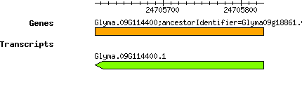 Glyma.09G114400.png